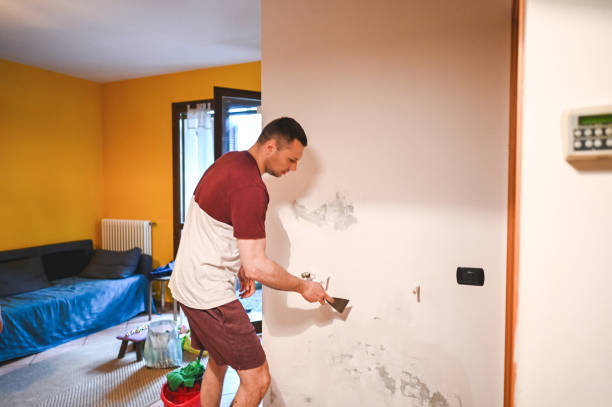 Best Emergency Mold Removal  in Hutto, TX