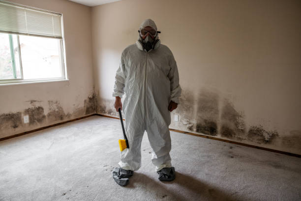 Best Professional Mold Removal  in Hutto, TX